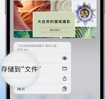 来宾apple维修中心分享iPhone文件应用中存储和找到下载文件