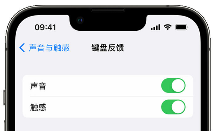 来宾苹果手机维修分享iPhone 14触感键盘使用方法 