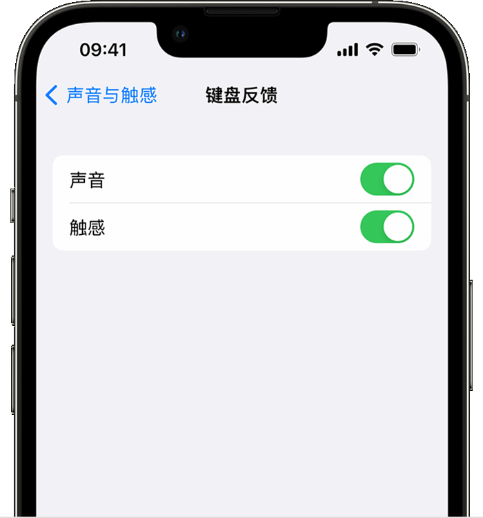 来宾苹果14维修店分享如何在 iPhone 14 机型中使用触感键盘 