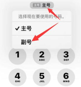 来宾苹果14维修店分享iPhone 14 Pro Max使用副卡打电话的方法 