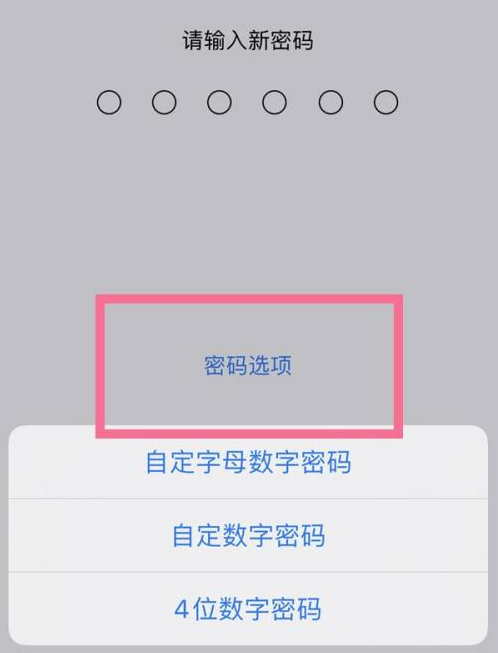 来宾苹果14维修分享iPhone 14plus设置密码的方法 