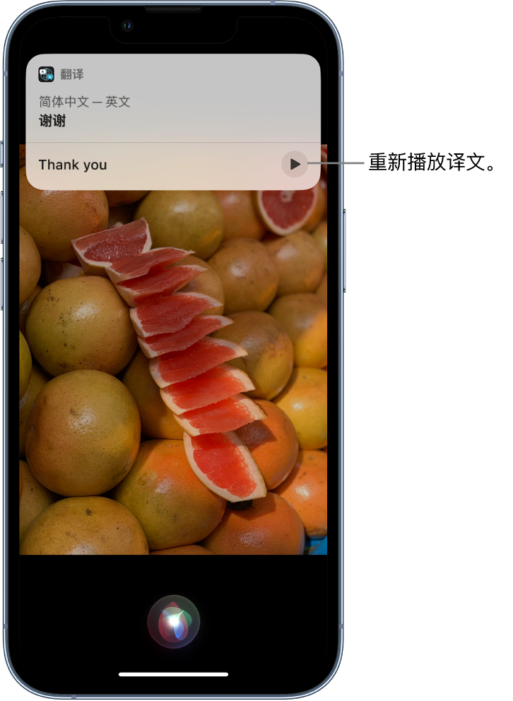 来宾苹果14维修分享 iPhone 14 机型中使用 Siri：了解 Siri 能帮你做什么 