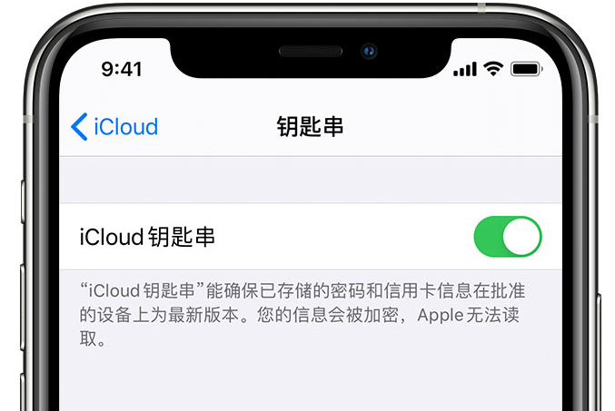 来宾苹果手机维修分享在 iPhone 上开启 iCloud 钥匙串之后会储存哪些信息 