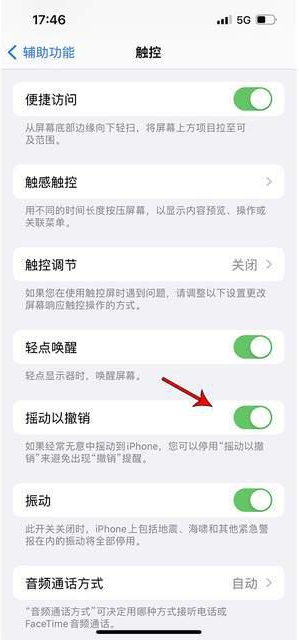 来宾苹果手机维修分享iPhone手机如何设置摇一摇删除文字 